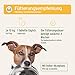 AniForte Plus Probiotikum Tabs für Hunde 90 Stück - Natürliche Präbiotika & Probiotika für Hunde, Stabilisiert die Verdauung & fördert eine gesunde Darmflora, mit aktiven Darmbakterien