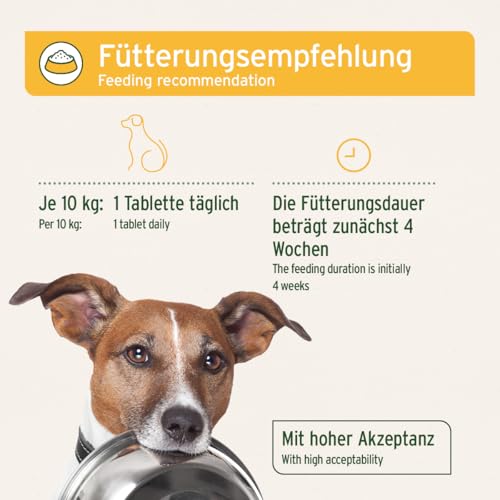 AniForte Plus Probiotikum Tabs für Hunde 90 Stück - Natürliche Präbiotika & Probiotika für Hunde, Stabilisiert die Verdauung & fördert eine gesunde Darmflora, mit aktiven Darmbakterien