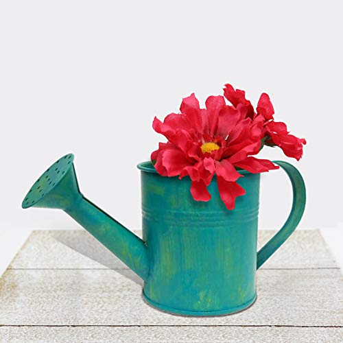 Better Crafts Metal Watering Can #TOP1