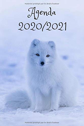 Télécharger AGENDA SCOLAIRE 2020 2021: Un Agenda Scolaire 2020 2021 | Agenda journalier | Emploi du temps | Cale Livre eBook France