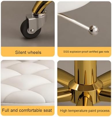 Adjustable Rolling Stool with Back Support & Wheels - Hydraulic Swivel Chair for Salon, Spa, Tattoo, Therapy - Ergonomic, Comfortable Design for Professionals