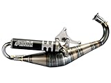 polini auspuff vespa gts 125 Aprilia SR 50 Funmaster LC (ab Bj. 03/2003) (Piaggio-Motor)