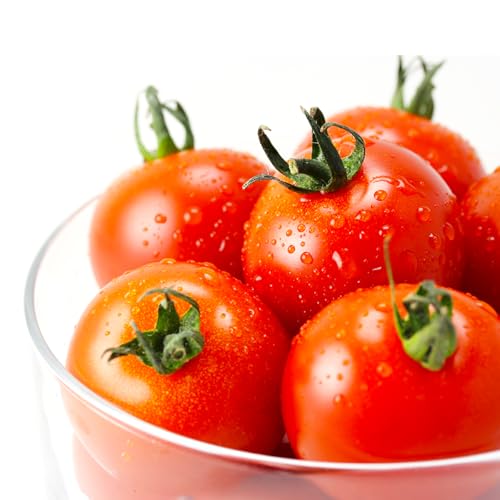 [先行販売][ファーム雫]ワインに合わせるミニトマト赤 2kg[a127-003]