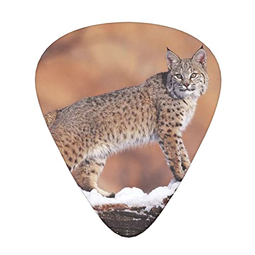 Wild Bobcat Lot de 3 médiators en celluloïd coloré pour guitare basse, amateurs de musique, joueurs de guitare, guitares électriques et acoustiques 0,46 mm, 0,71 mm, 0,96 mm - Les Beatles, Paul McCartney, John Lennon, RIngo Starr, George Harrison Wild Bobcat Lot de 3 médiators en celluloïd coloré pour guitare basse, amateurs de musique, joueurs de guitare, guitares électriques et acoustiques 0,46 mm, 0,71 mm, 0,96 mm
