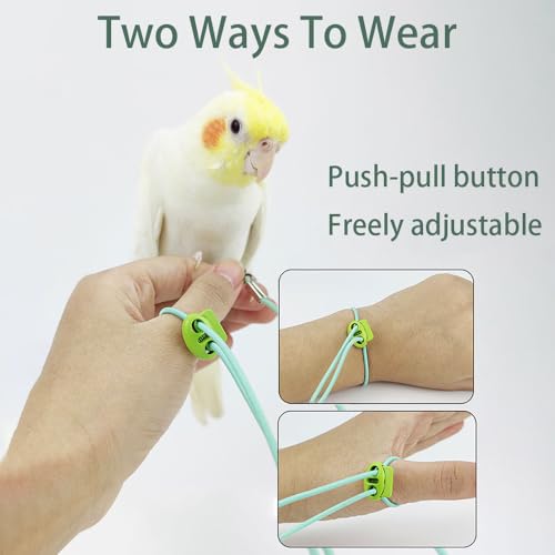 Image of Bird Harness, Bird Belt, Adjustable Parrot Leg Ring with 2m Elastic Rope, Harness for Birds Suit with Leash for Parrot, Budgerigars, Cockatiels