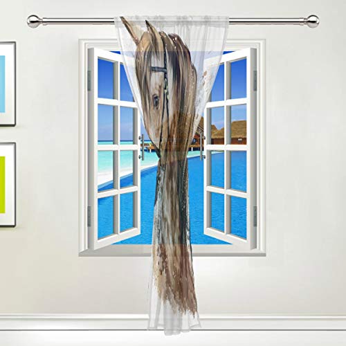 Cpyang, tenda trasparente con motivo ad