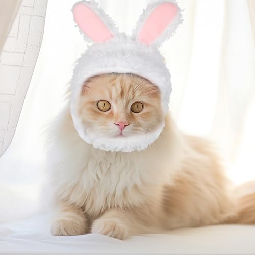 WLLHYF Süße Katze Wintermütze Warm Weich Bequem Verstellbar für Kleine Haustiere Kopfbedeckung Kostüm Kleidung für Katzen, Hunde (Weiß)