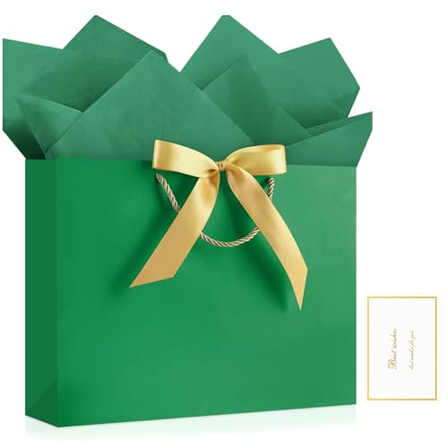 Image of JMANNI Gift Bags with Handles, 13 inch Medium Gift Bag for Presents, 1 Pcs Bags with 2 Tissue Paper and 1 Cards for Baby Shower Wedding Bridal Shower Mother's Day Birthday Party (LightGreen)
