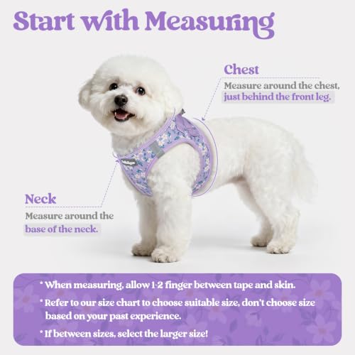 Image of rabbitgoo Dog Harness Medium Sized and Leash Set, Step-in Puppy Pet Vest