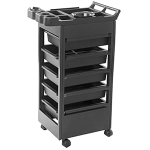 Buy-Rite Professional Salon Trolley Cart – Rolling Hair and Beauty Spa/Esthetician Utility Cart with 5 Storage Drawers, Mixing Bowl and Accessories, MEI-3010
