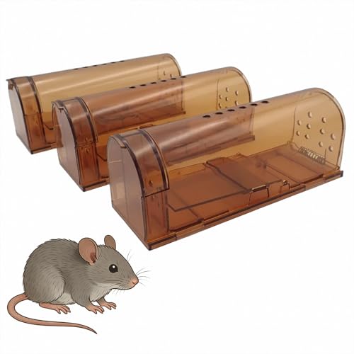 ARE YOU LU-LA lY~߂ ^ ߊl 3Zbg F ^lY~Ή ˂݋쏜 }EXgbv gbv lI ȒPݒu ėp\