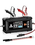 DC House 12V 5A Battery Charger, Smart LiFePO4 & Lead Acid Charger, Trickle Charger Maintainer & Desulfator for Car, Motorcycle, Automotive Batteries