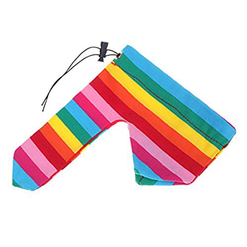 Alvivi Sexy Men's Rainbow Stripe Fun Thong G-String Penis Dick Briefs Underwear Colorful Rainbow One Size