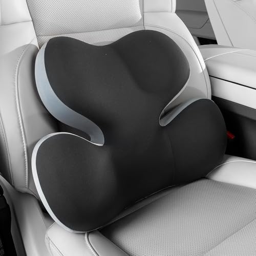 BEBAS Lumbar Support Pillow for Car and Office