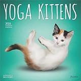 BrownTrout, Yoga Kittens Plato 2025 Wall Calendar