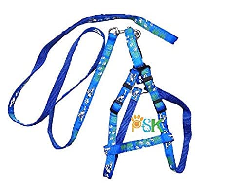 PSK PET MART 0.75 Inch Nylon Printed Adjustable Harness Vest Belt with Leash for Small & Medium Dogs (Pack of 1) (B0BK4BCVHP) Amazon Price History, Amazon Price Tracker
