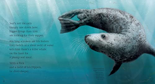 See What a Seal Can Do: Read and Wonder