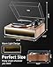 SeeYing Vinyl Record Player with Built in HiFi Speakers, Bluetooth Belt Drive Turntable for Vinyl Records with Magnetic Cartridge, Auto Stop and Warm Light Design