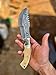 Poshland TR-177 Custom Handmade Damascus Steel 10 Inches Tracker Knife (Bone)