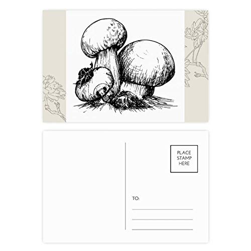 Carte postale Merci avec illustration fleur et créature Swamm - Lot de 20pcs multicolores DIYthinker