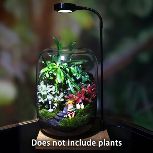 Image of SARUFO Glass Plant Terrarium 6.3 inchX8.6 inch Inches Succulent Air Planter Fern Moss Micro-Landscape Vase for Home Garden Office Tabletop Decoration Container Indoor Wardian Copyright Patent