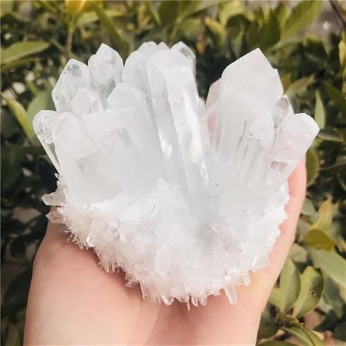 Quartz blanc cristal de roche transparent d'exception de 600g