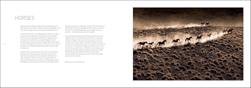 【希少】Fierce Beauty 著者: Eric Meola 写真集 Amazon.com: Eric Meola: books, biography, latest update