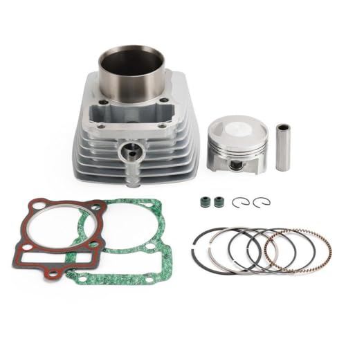 Joint cylindre piston 67mm pour DM250 de 2020 à 2023