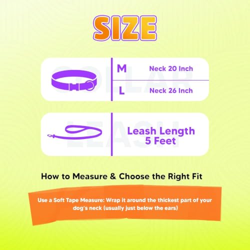 Image of Adil's Biothane Waterproof Dog Collar, Dog Leash & Collar Leash Combo | Heavy Duty TPU Coated Webbing | Adjustable Quick Release Buckle | Odour Resistant (Purple, M-18, Collar & Leash Combo)