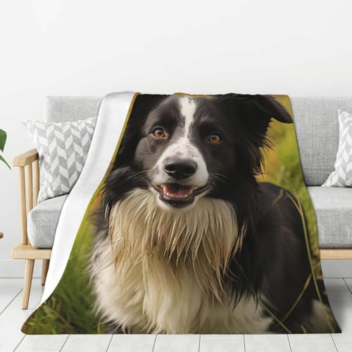 Couverture polaire Border Collie, le cadeau idéal pour amoureux de chiens