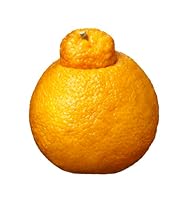 Algopix Similar Product 5 - Mandarin Dekopon, 1 Each