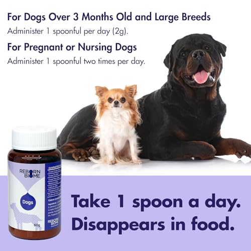 Image of Lacto Pet, Vegetable Dog Probiotics Powder and Digestive Enzymes - Pollack Flavor, Supports Immune Function, Digestive Support, Digestive Health Diarrhea, Helps Control Binge Eating & Weight, 2.1oz.