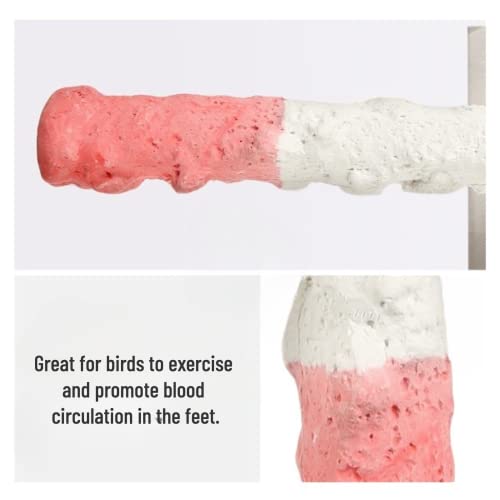 Image of Bird Perches for Parrots-Cuttlebone Calcium Perch Standing Cuttlebone Holder for Birds Cage Accessories Color Randomly (Small)