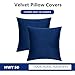 HWY 50 Navy Blue Velvet Throw Pillow Covers 20x20 Inch, Pack of 2 Soft Cozy Solid Decorative Luxury Cushion Cases for Couch Sofa Bed Living Room Bedroom