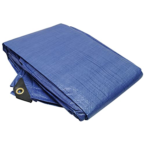 Bâche polyéthylène bleue 10'x12' RoadPro Rptp-1012 pour extérieur