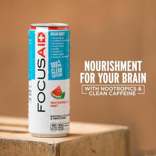 Image of FOCUSAID Energy, Brain Boost Drink, Watermelon Mint, Nootropics, Alpha-GPC, GABA, B-Complex, 100mg Caffeine, Yerba Mate, Green Tea, 100% Clean, No Artificial Sweeteners, 12-oz. cans (Pack of 24)