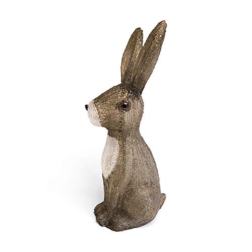 Image of Snowtime 54cm Acrylic Hare With 80 Ice White LEDs