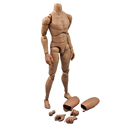 VOTORO Narrow Shoulder Figure 1/6 Muscular Nude Figures Body for Hot Toys Head Sculpt
