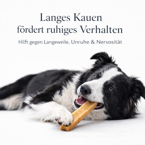Alp Chews Hartkäse für Hunde – Extra Kleine 3 Stück – Natürlicher Kauknochen – Kaukäse zur Zahnpflege & Langen Kaudauer