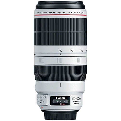 Canon Ef 100-400Mm F/4.5-5.6L Is Ii Usm Lens (9524B002) + Filter Kit + Backpack + 64Gb Card + Card Reader + Flex Tripod + Memory Wallet + Cap Keeper + Cleaning Kit + Hand Strap + More (Renewed) #TOP3