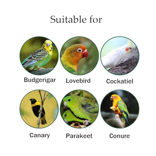 Image of Hamiledyi Wood Bird Perch 4PCS Natural Wooden Stand Platform Parrot Cage Accessories for Budgie Conure Parrot Parakeet Cockatiel Lovebird