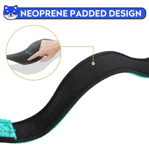 Collar Reflectante para Perros Pequeños Azul Celeste miniatura 6