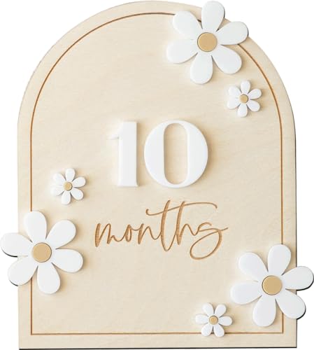 Image of Daisy 3D Baby Monthly Milestone, Wooden Baby Milestone Signs, Monthly Milestone Wood Discs, Baby Milestone Discs (Daisy)