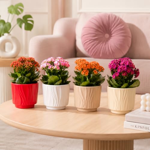 Image of Xtore Charming Textured Ceramic Planter Pots Set of 4 for Indoor Plants | Modern Ribbed Flower Pots for Home, Office Desk, Balcony & Shelf Decor (Multicolor, Planters Only)