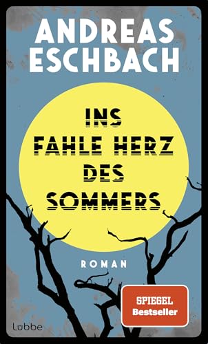 Ins fahle Herz des Sommers: Roman. Ein Roman, der nachdenklich macht: Was, wenn die Zukunft schon begonnen hat - nur ohne uns?
