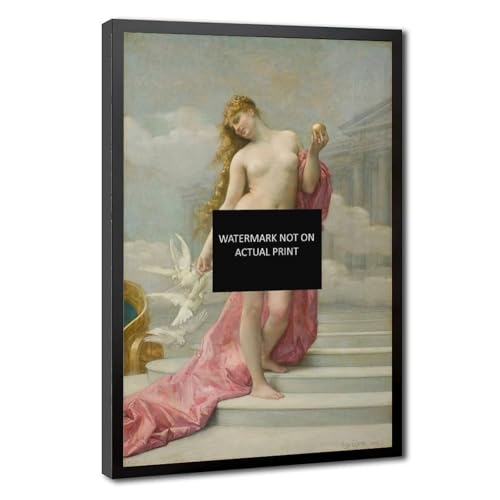 Poster Venus d'Alexandre Cabanel WCYB encadré sur toile de 30x45 cm