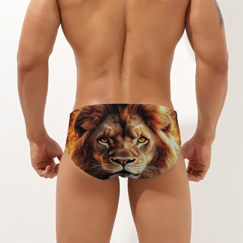 Rasta and Lion Burning Flame Mens Swim Briefs Sexy Bikini Swimwear Bathing Suits Trunks2