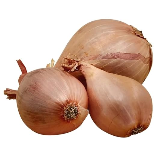 Shallot - 1 Each