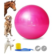 Harrison Howard Howdy Bally Mega Horse Play Ball Anti-Burst Giant Horse Ball 22 Inch-Magenta