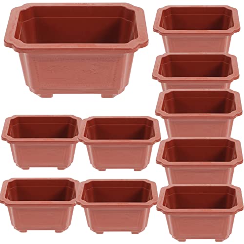 Eringogo Bonsai Tree Kit 10 Pcs Bonsai Training Pots, 7X5X3 Bonsai Plants Growing Pot Plastic Oval Planter Pot With Drainage Holes, Large Deep Flower Pot For Nursery, Garden, Balcony Bonsai Tree #TOP5